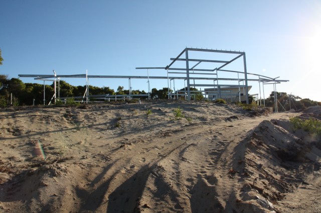 resized 2000presized 2000pMagpie nest - 136 of 254