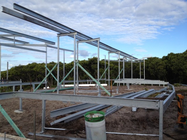 resized 2000presized 2000pMagpie nest - 143 of 254