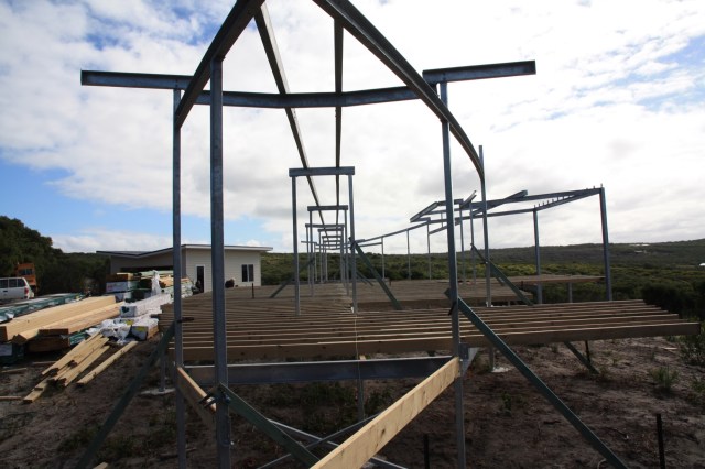 resized 2000presized 2000pMagpie nest - 174 of 254