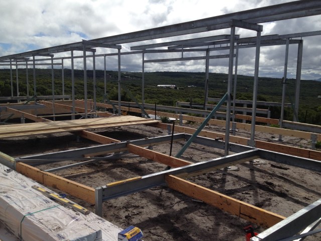 resized 2000presized 2000pMagpie nest - 207 of 254