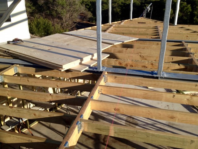 resized 2000pIMG_1141