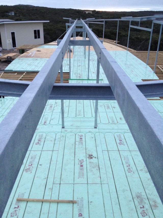 resized 2000pIMG_1199