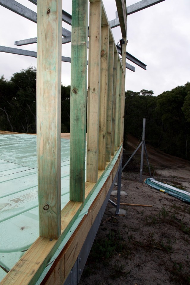 resized 2000pIMG_7140