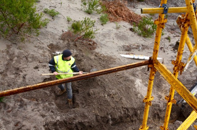 resized 2000pIMG_7384